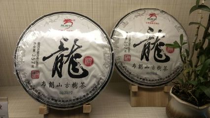 龍園茶葉臺州總代理產品介紹